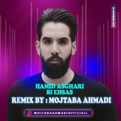 Mojtaba Ahmadi – Bi Ehsas